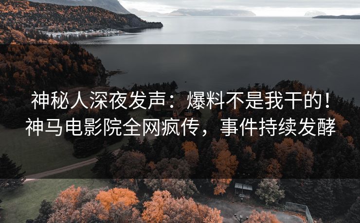 神秘人深夜发声：爆料不是我干的！神马电影院全网疯传，事件持续发酵